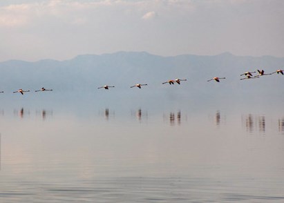 مساحت دریاچه ارومیه پس از تشکیل ستاد احیا سه برابر شده است